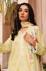 Ziva by Johra Unstitched Lawn Summer Collection 2025 D-171