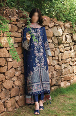 Qalamkar Qlinekari Winter Linen Unstitched Collection 2024 D-6  CADHLA