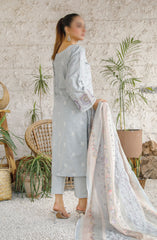 Marjjan Slub Lawn Embroidered Collection D-204 C