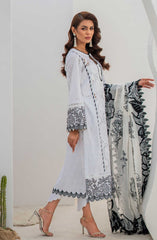 Mavi Luxury Unstitched Lawn Collection D-004 IVY