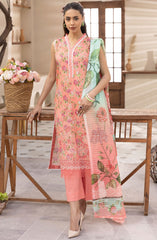 Phoolnagar by NUR Unstitched Lawn Summer Collection 2025 D-10