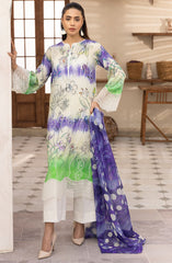 Phoolnagar by NUR Unstitched Lawn Summer Collection 2025 D-11