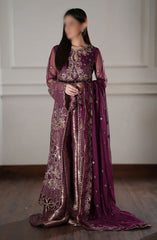 Rang Rasiya Chatoyer Wedding Formals 2024 D-07 Nareman