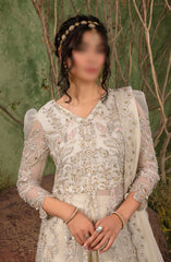 Rang Rasiya Chatoyer Wedding Formals 2024 D-09 Noor