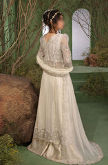 Rang Rasiya Chatoyer Wedding Formals 2024 D-09 Noor