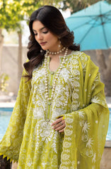 Printkari by NUR Printed Embroidered Lawn Collection 2025 D-01