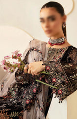 Ramsha Dastoor Chiffon Collection Vol 01 D-105