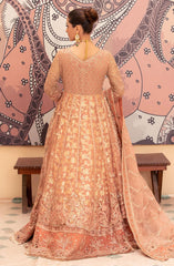 Tehzeeb Luxury Formal Collection By Diara Couture  D-107 R. VOWS