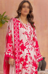 Rang Nagar Embroidered and Printed Slub Wool Collection D-01