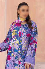 Rang Nagar Embroidered and Printed Slub Wool Collection D-04