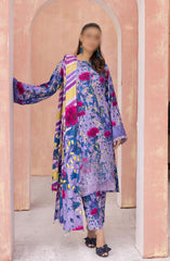 Rang Nagar Embroidered and Printed Slub Wool Collection D-04