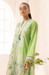 Rang Nagar Embroidered and Printed Lawn Collection By D-306