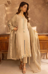 Merakish Zunairi Raw Silk Hand Work Embellished Collection D-05 Rose beige