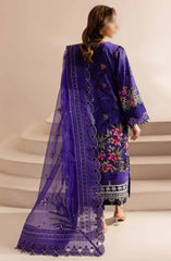 Nureh-The Silk Edit Unstitched Collection  D-18