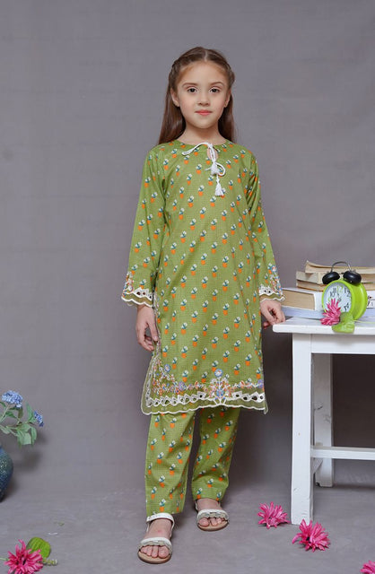 Shanzey Co Ords Lawn Embroidered Collection 2024 SHK-1925