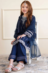 Shanzey Eid Boutique Formal Collection 2024 D-2604-Navy Blue