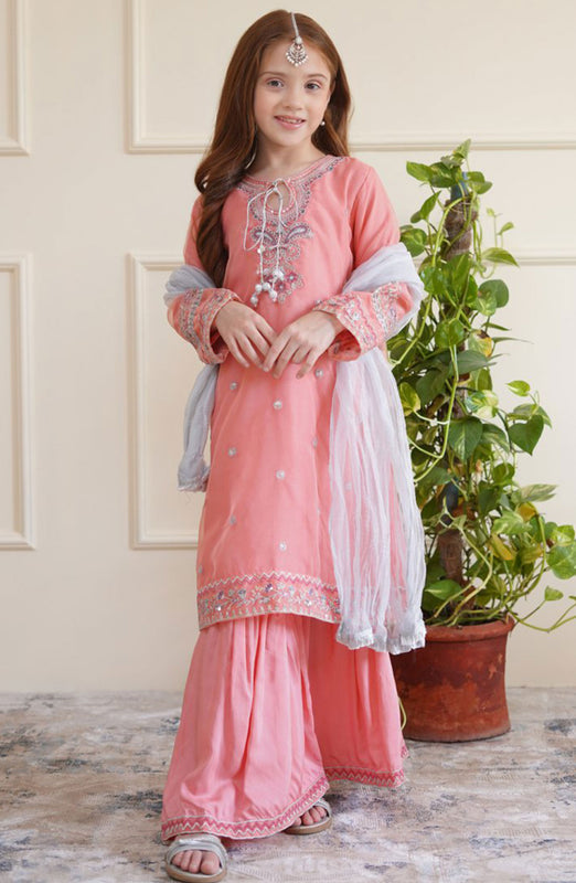 Shanzey Eid Boutique Formal Collection 2024 D-2605-Pink