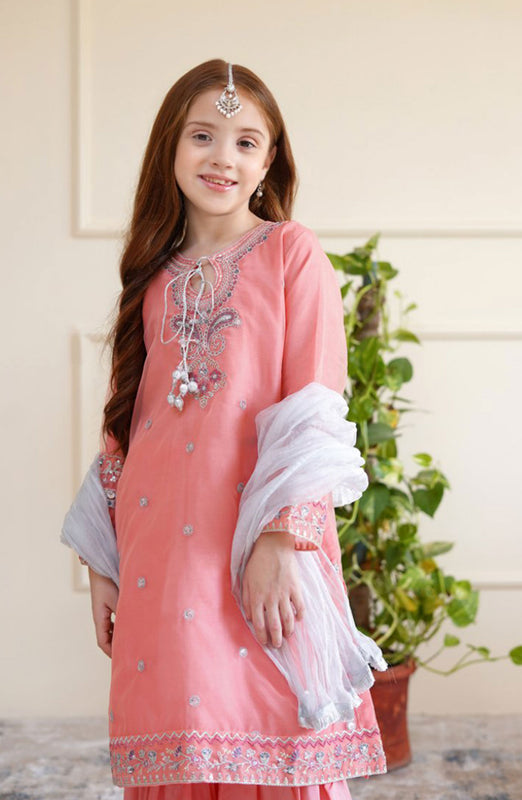 Shanzey Eid Boutique Formal Collection 2024 D-2605-Pink