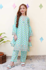 Shanzey Spring Embroidered Co Ords Collection D-3401-SKY BLUE