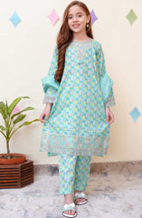 Shanzey Spring Embroidered Co Ords Collection D-3401-SKY BLUE