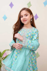 Shanzey Spring Embroidered Co Ords Collection D-3401-SKY BLUE