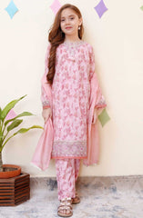 Shanzey Spring Embroidered Co Ords Collection D-3402-TEA PINK