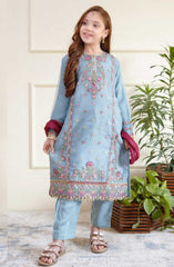 Shanzey Eid Boutique Festive Collection 2025 D-3502-Azure