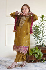 Shanzey Eid Boutique Festive Collection 2025 D-3504-Mehendi