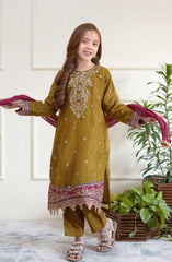 Shanzey Eid Boutique Festive Collection 2025 D-3504-Mehendi