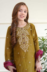 Shanzey Eid Boutique Festive Collection 2025 D-3504-Mehendi