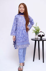 Shanzey Mid Summer Embroidered Lawn Collection 2024 D-2803