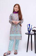 Shanzey Mid Summer Embroidered Lawn Collection 2024 D-2805