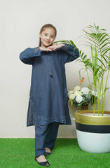 Shanzey Whimsical Winters Embroidered Khaddar Collection D-3101 Navy Blue 1