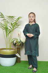 Shanzey Whimsical Winters Embroidered Khaddar Collection D-3104 Bottle Green