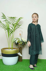 Shanzey Whimsical Winters Embroidered Khaddar Collection D-3104 Bottle Green