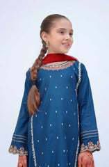 Shanzey Kirnain Festive Embroidered Cotton Collection D-3603 Navy Blue