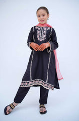 Shanzey Kirnain Festive Embroidered Cotton Collection D-3604 Black