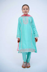 Shanzey Kirnain Festive Embroidered Cotton Collection D-3605 Sky Blue