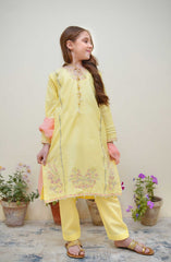 Shanzey Bahar Eid Festive Embroidered Cotton Collection D-3625