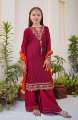 Shanzey Methi Eid Formal Edit Collection Vol 01 D-3801 MAROON