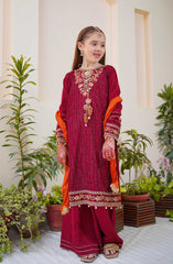 Shanzey Methi Eid Formal Edit Collection Vol 01 D-3801 MAROON