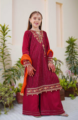 Shanzey Methi Eid Formal Edit Collection Vol 01 D-3801 MAROON