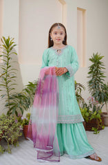 Shanzey Methi Eid Formal Edit Collection Vol 01 D-3803 AQUA