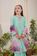 Shanzey Methi Eid Formal Edit Collection Vol 01 D-3803 AQUA