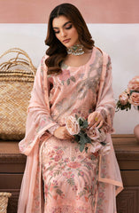 Ramsha Arzoo Chiffon Collection Vol 01 D-101