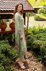 Ramsha Riwayat Luxury Lawn Collection Vol 11 D-1104