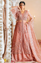 Zircon Luxury Collection Vol 10 By Zebtan D-07 SHABNAM