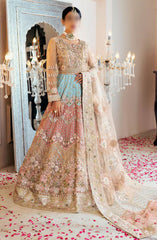 Zircon Luxury Collection Vol 10 By Zebtan D-09 ANARKALI