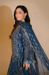 Rang Rasiya Chatoyer Wedding Formals 2024 D-10 Zimil