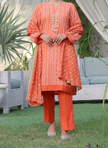 Wrinkle Free Print Collection Vol 12 by Amna Khadija 1068 A